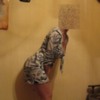 Andrea : escort girl from Copenhagen, Denmark